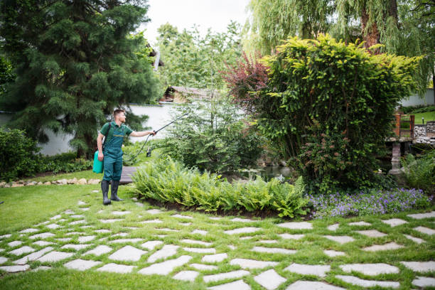 Best Pest Control for Lawns  in Lindenwold, NJ