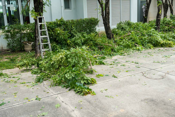 Best Arborist Consultation Services  in Lindenwold, NJ